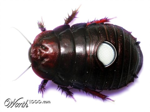 Photoshop Design by luisbucchi