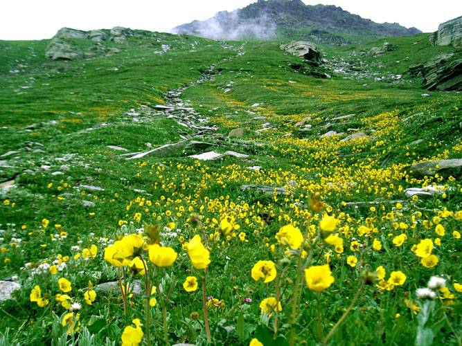 Photography by lokpal007 for DesignCrowd (Community Contests) | Design #9015249