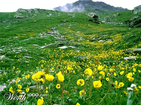 Photography by lokpal007