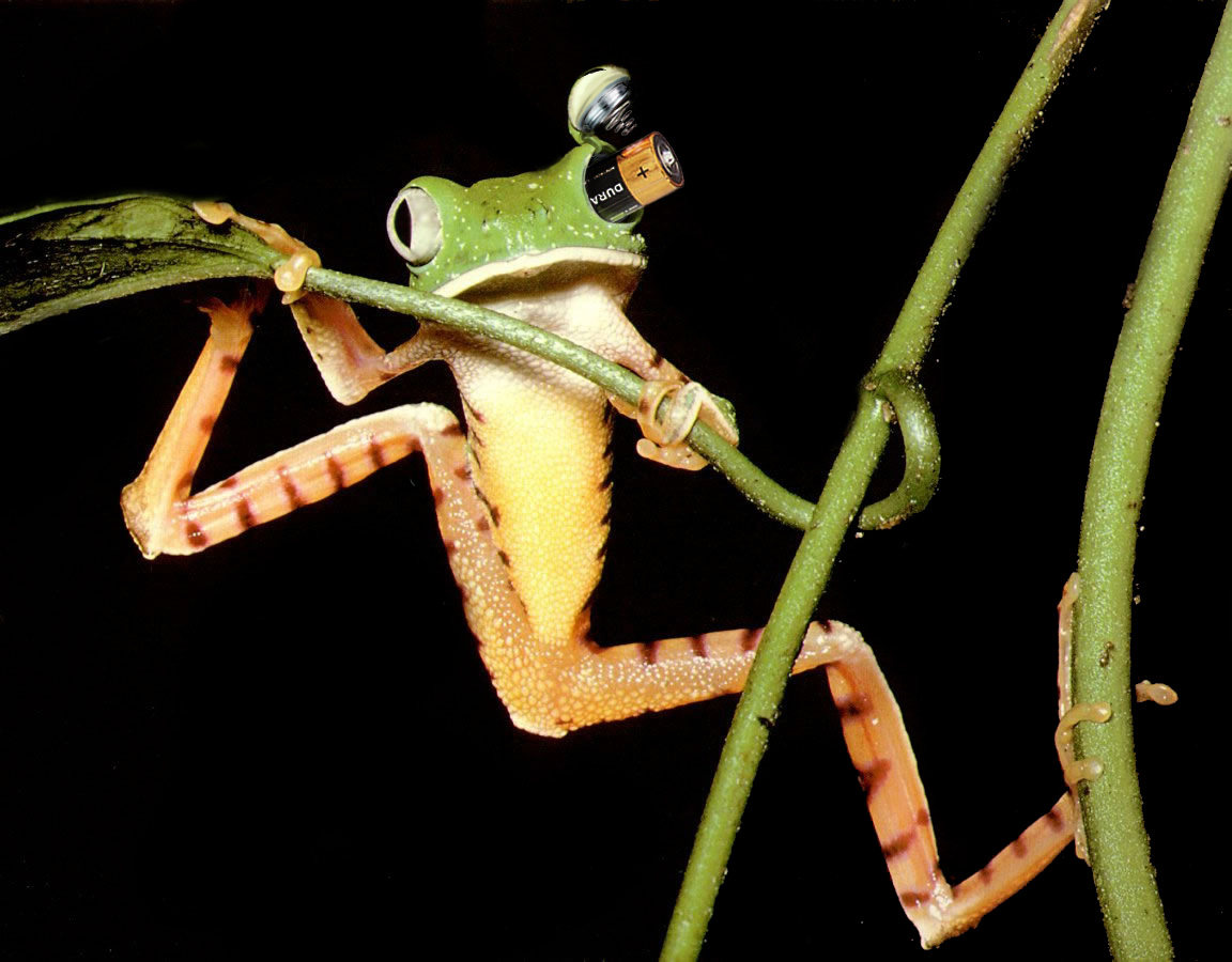 Diseño de Photoshop por Gezzunder para DesignCrowd (Community Contests) | Diseño #9013914