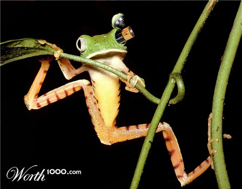 Photoshop Design by Gezzunder