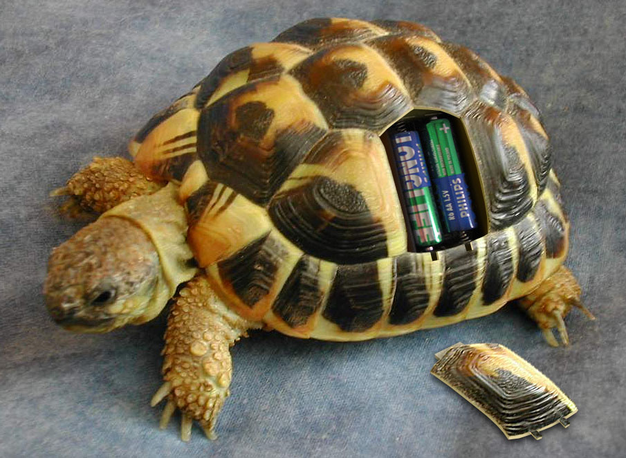 Photoshop Design by xTOTO62x for DesignCrowd (Community Contests) | Design #9013926