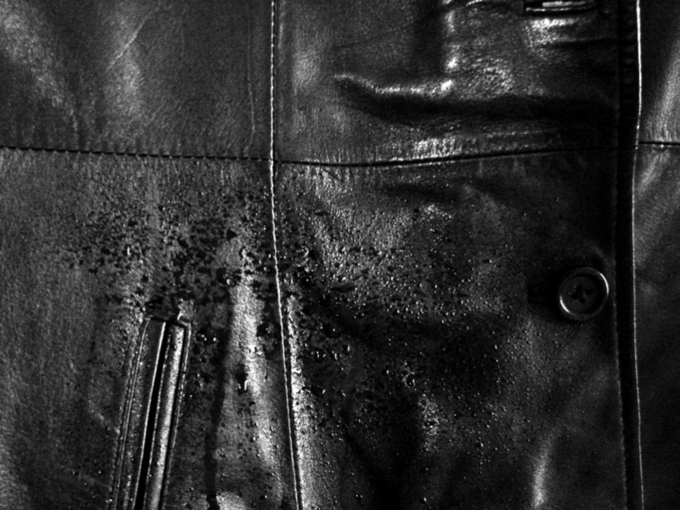 Fotografie von jalpari für DesignCrowd (Community Contests) | Design #9018746