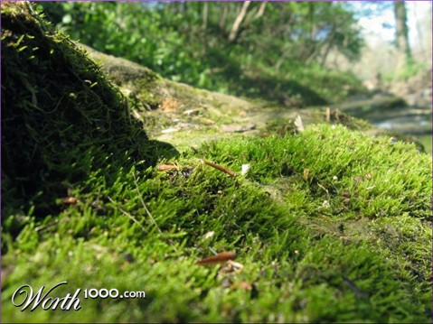 Photography by narfpie