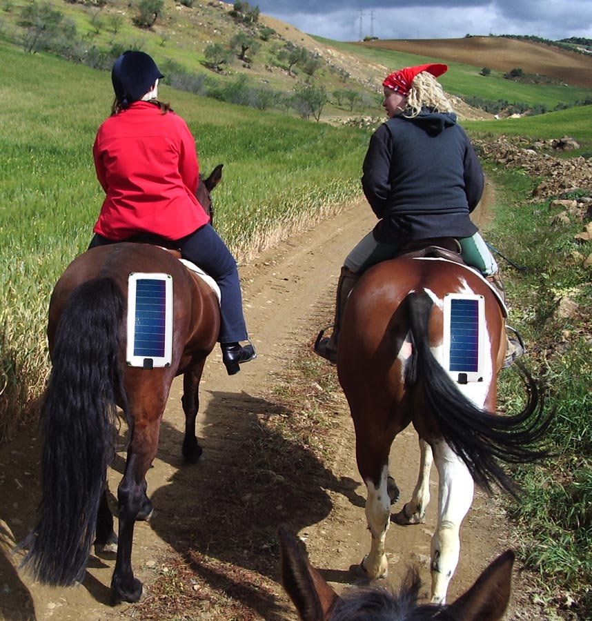 Photoshop Design by Rhiannonsmommy for DesignCrowd (Community Contests) | Design #9013990