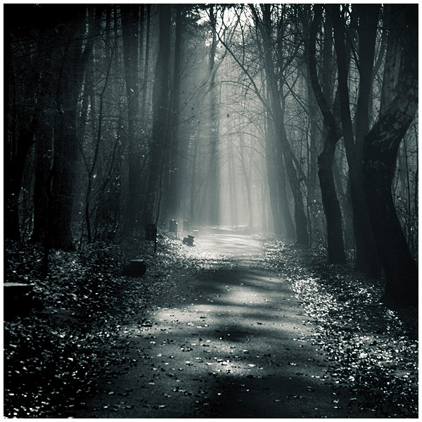 Photography by dratzzi for DesignCrowd (Community Contests) | Design #9015293