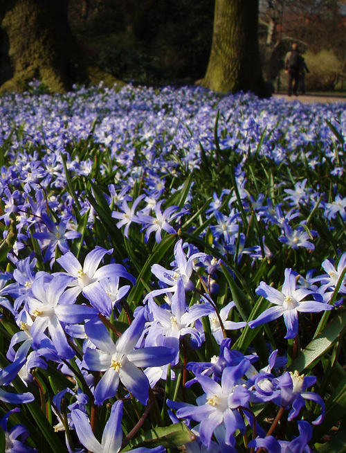 Photography by MasterGnu for DesignCrowd (Community Contests) | Design #9015285