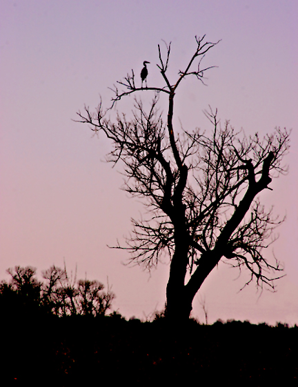 Photography by binkyat3 for DesignCrowd (Community Contests) | Design #9014771