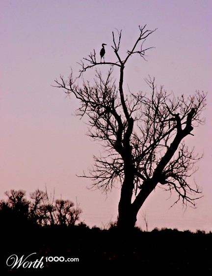 Photography by binkyat3