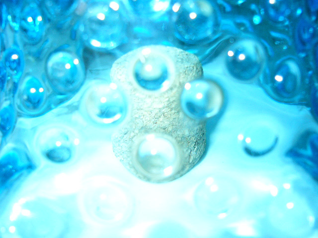 Photography by NormaPorter for DesignCrowd (Community Contests) | Design #9021871