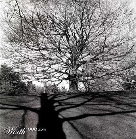 Photography by sculptor999