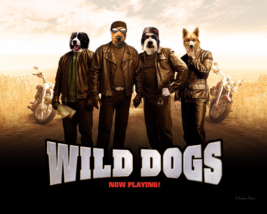 Photoshop Design by tabed17 for DesignCrowd (Community Contests) | Design #9017613