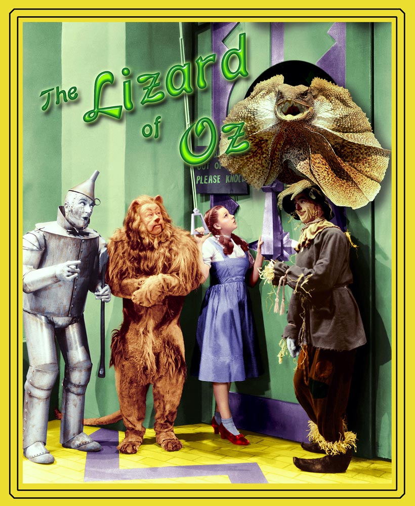 Photoshop Design by scarpino36109 for DesignCrowd (Community Contests) | Design #9017630