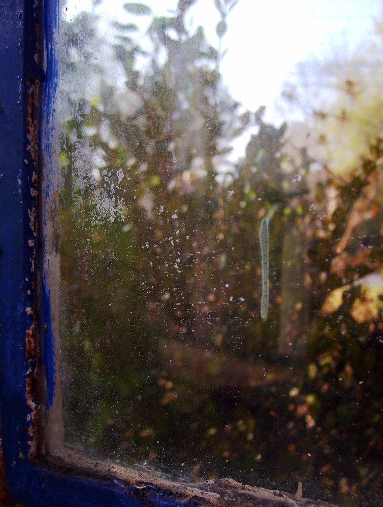 Photography by scarpino36109 for DesignCrowd (Community Contests) | Design #9021857