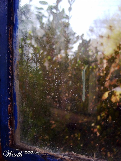 Photography by scarpino36109