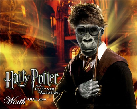 Photoshop Design by crazynut19