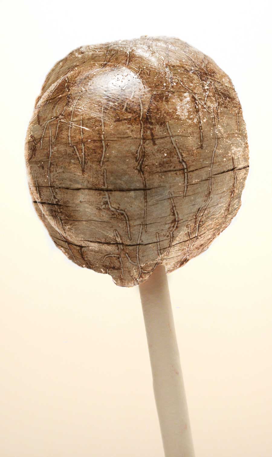 Diseño de Photoshop por joshbarsky para DesignCrowd (Community Contests) | Diseño #9011877