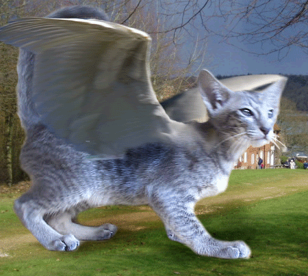 Photoshop Design by Yukarangz for DesignCrowd (Community Contests) | Design #9015029