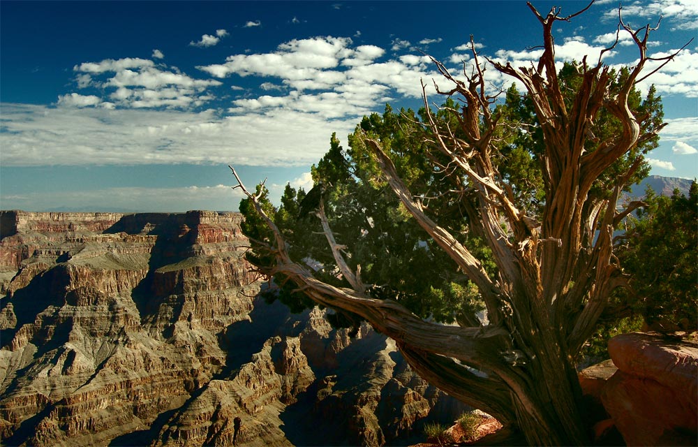 Photography by Samogitan for DesignCrowd (Community Contests) | Design #9014780