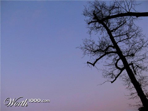 Photography by PozZz85