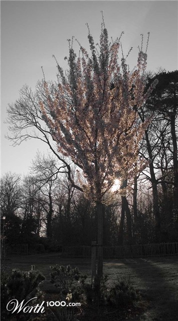 Photography by Hangerhead