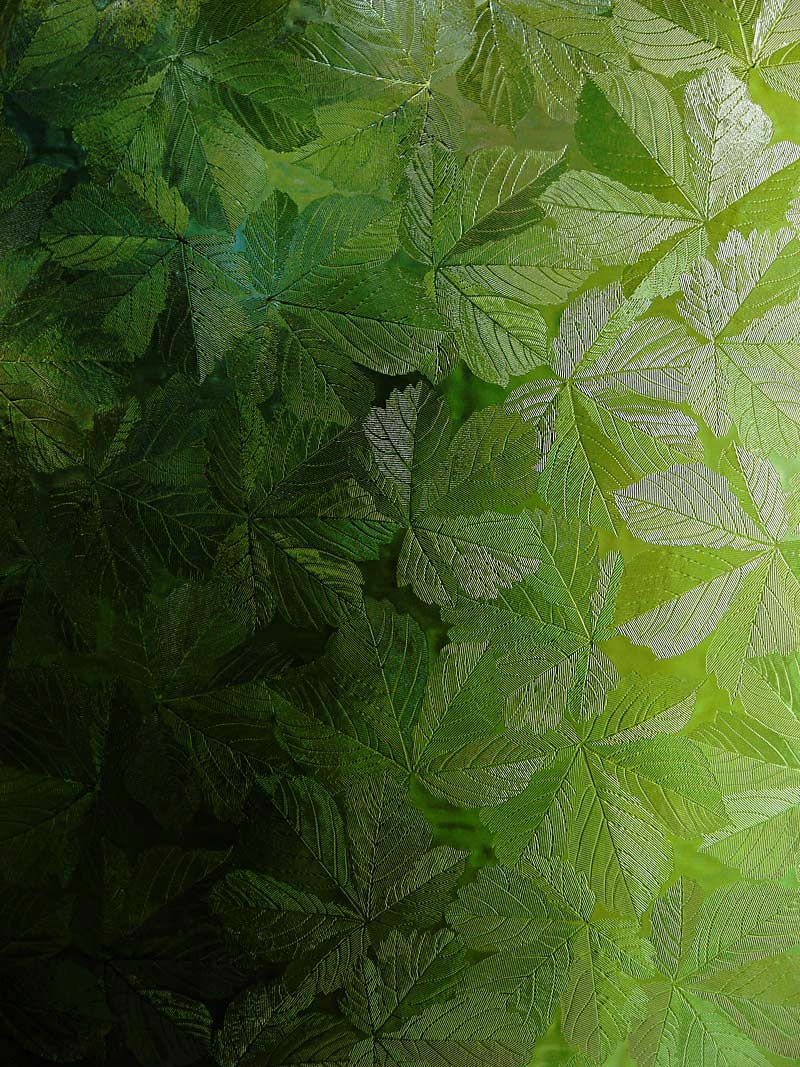 Photographie par chilledcoder pour DesignCrowd (Community Contests) | Design #9021867