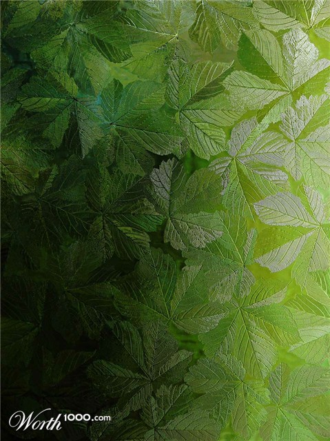 Photography by chilledcoder