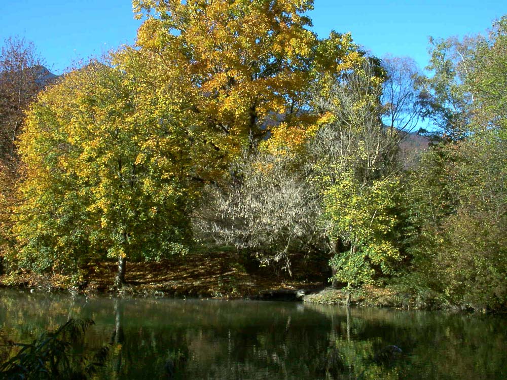 Fotografía por Zampino para DesignCrowd (Community Contests) | Diseño #9015332