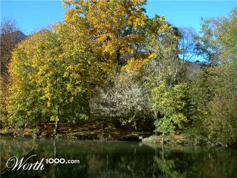 Photography by Zampino