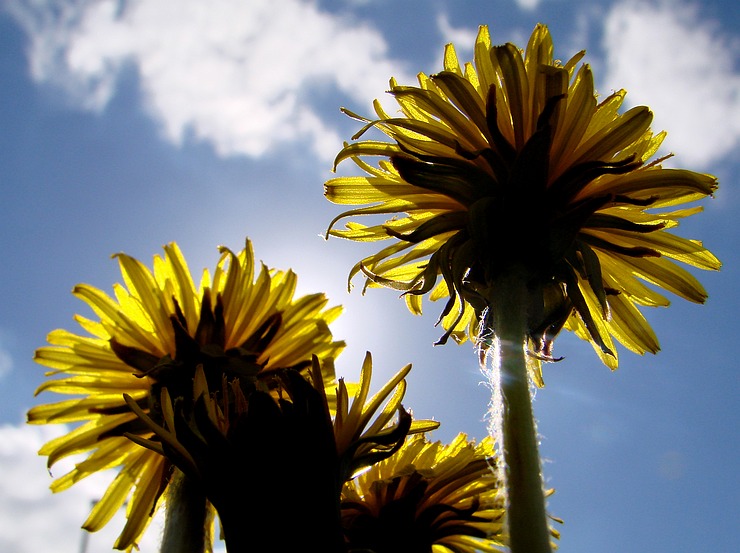 Photography by Jaap54 for DesignCrowd (Community Contests) | Design #9015336
