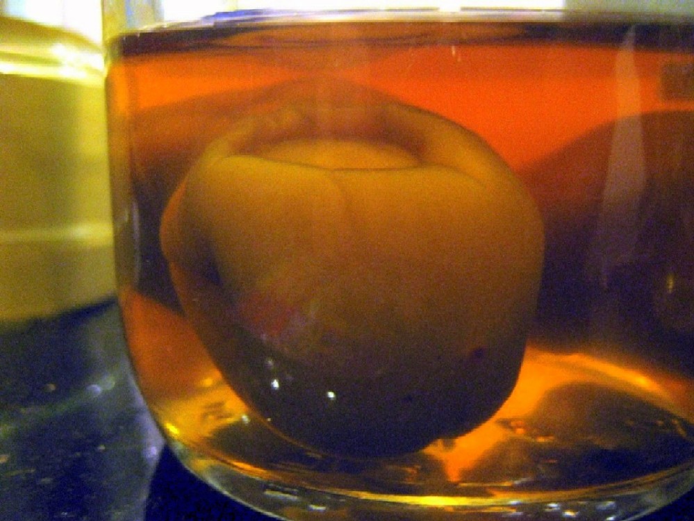 Photography by einney for DesignCrowd (Community Contests) | Design #9021877