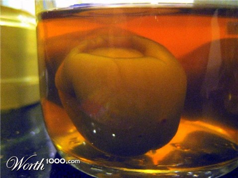 Photography by einney