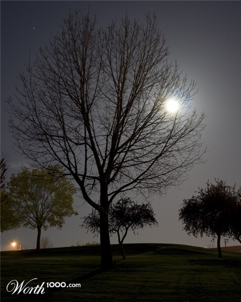 Photography by zchendar