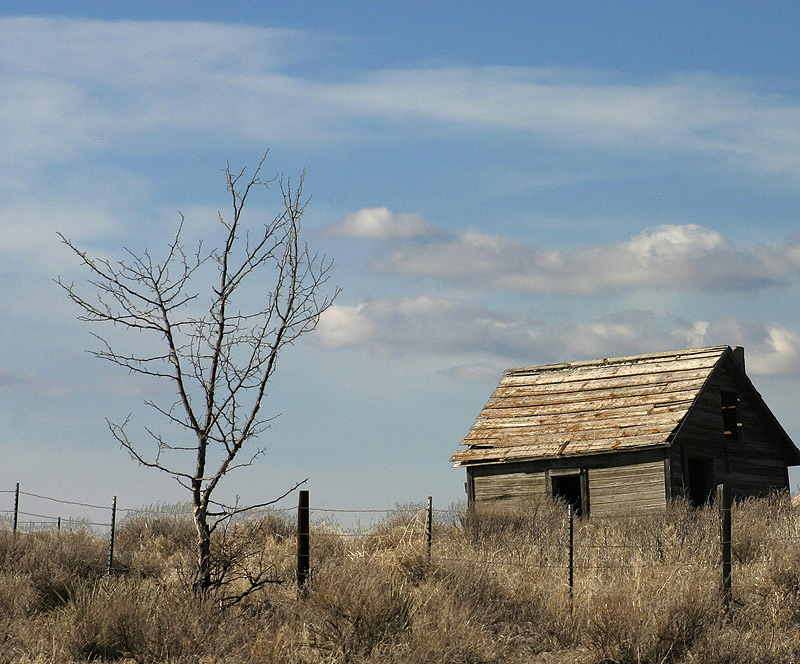 Photography by rdchdwck for DesignCrowd (Community Contests) | Design #9014813