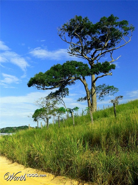 Photography by resouzaesouza