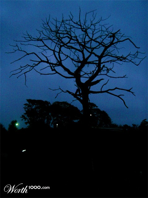 Photography by lokpal007