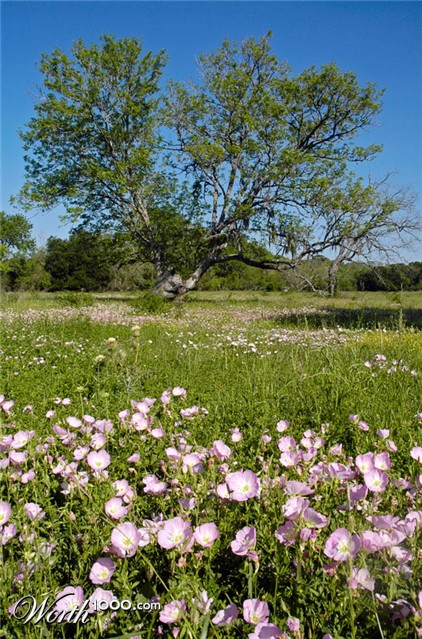 Photography by Fishcat