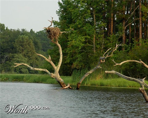 Photography by Jawizza