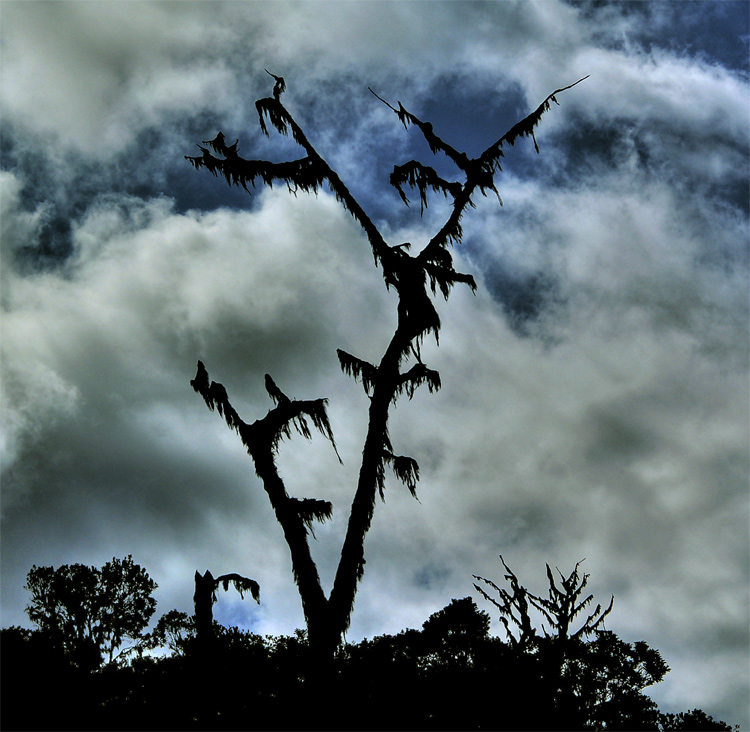 Photography by chatwin68 for DesignCrowd (Community Contests) | Design #9014864