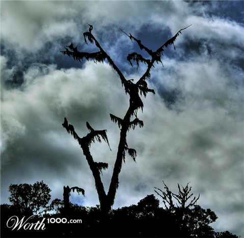 Photography by chatwin68