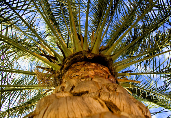 Fotografie von majkus für DesignCrowd (Community Contests) | Design #9014910