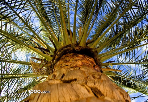 Photography by majkus