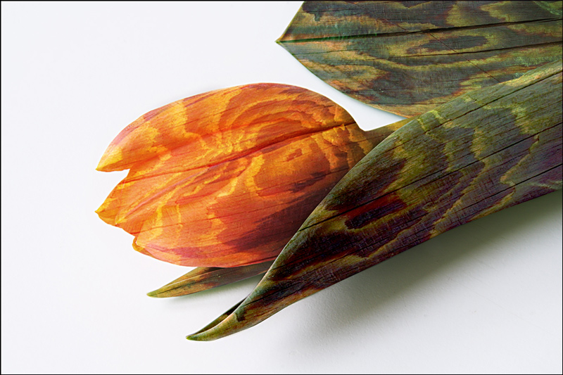 Photoshop Design by Sassydeb for DesignCrowd (Community Contests) | Design #9012085