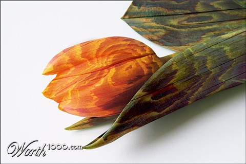 Photoshop Design by Sassydeb