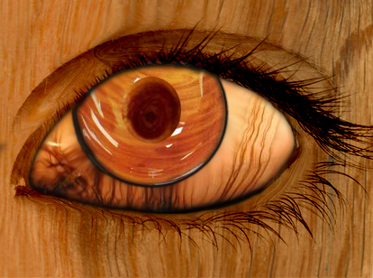 Photoshop Design by bladeoffire110 for DesignCrowd (Community Contests) | Design #9012141