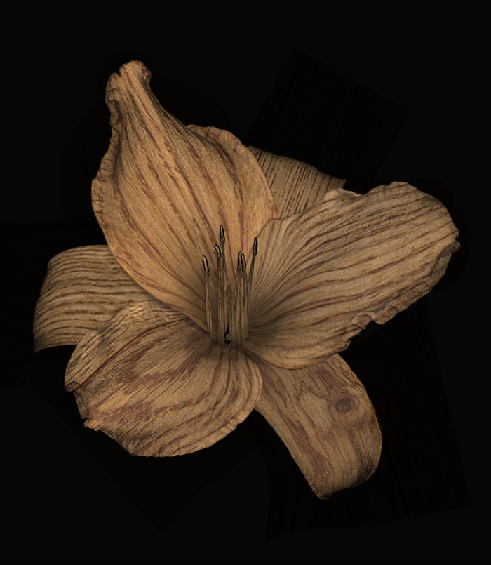 Design Photoshop par pixel8r pour DesignCrowd (Community Contests) | Design #9012105