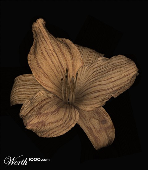 Photoshop Design by pixel8r