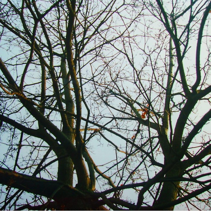 Photography by allboutme for DesignCrowd (Community Contests) | Design #9014916