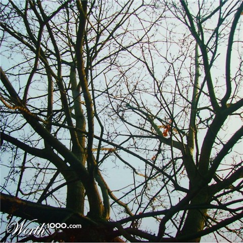 Photography by allboutme