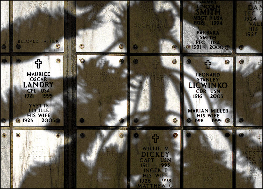 Photography by SixerHoo for DesignCrowd (Community Contests) | Design #9014901